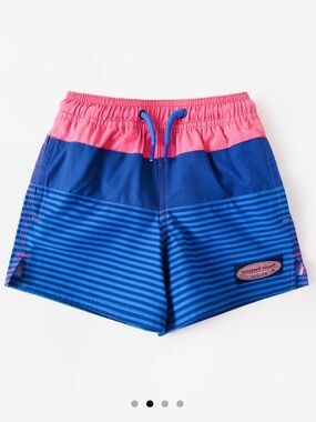 Vineyard Vines Men’s Pink and Blue Striped Swim Trunks